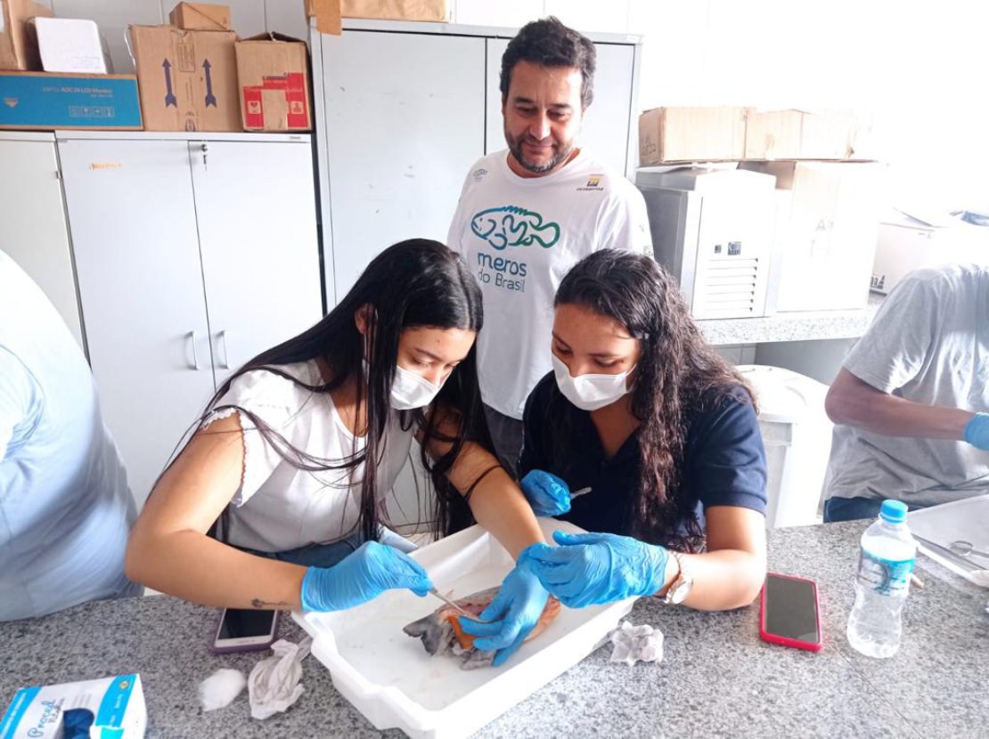 Alunos aprendem a empalhar peixes na unidade da Ufal em Penedo Notícias