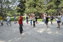 Tai Chi Boxing