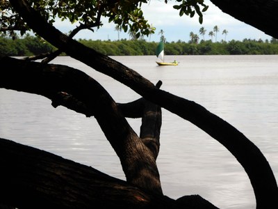 Foto da aluna Priscila Anacleto