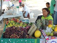Feirantes do Graciliano Ramos levaram frutas e raízes para vender no Campus