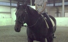 Centro Equestre Vibholm