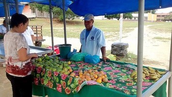 Feira de orgânicos da Ufal une saúde e desenvolvimento sustentável