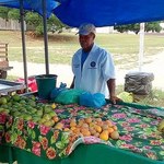 Feira de orgânicos da Ufal une saúde e desenvolvimento sustentável