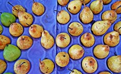 Ensaio 'A feira', por Bruna Albuquerque