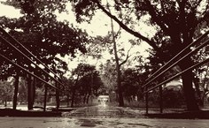 Ensaio 'De manhã eu canto, perto de ti... na Ufal', por Mírian Félix