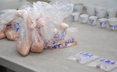 Resíduos são separados por espécie de eucalipto e analisados no Laben