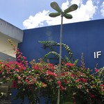 Instituto de Física promove workshop da pós-graduação