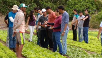 Estudantes de Agronomia participam de atividade nos APLs da mandioca e horticultura