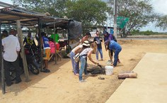 Alunos trabalharam em projetos no local