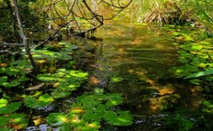 Atividade foi realizada na região do Catolé