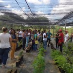 Estudantes de Geografia realizam trabalho de campo no Semiárido