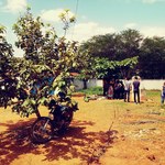 Alunos de Jornalismo promovem oficinas em Aldeia de Palmeira dos Índios