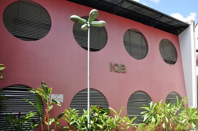 Inscrições devem ser feitas no IQB, Campus A.C. Simões