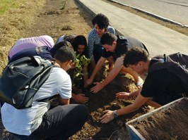 Cuidado e integração: Ufal ganha mais 36 mudas na Calourada Verde