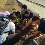 Cuidado e integração: Ufal ganha mais 36 mudas na Calourada Verde
