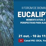 PEC promove 2º Fórum da biomassa: momento atual e perspectivas para Alagoas