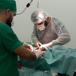 Atividades de GT da Medicina Veterinária não param durante isolamento