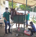 Ações do Grupequi não pararam na pandemia