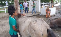Ações do Grupequi não pararam na pandemia