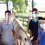 Grupequi realiza lives e reuniões online durante quarentena