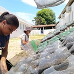 Enactus Ufal conquista vice-campeonato em evento nacional