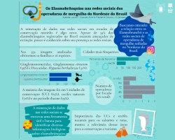 Estudante utiliza redes sociais para pesquisas sobre ciência do mar