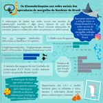 Estudante utiliza redes sociais para pesquisas sobre ciência do mar