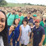 Alunos de Veterinária publicam artigos sobre ação contra abate de jumentos