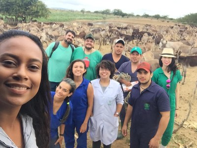 Equipe do Grupequi em campo