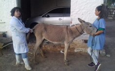 Alunas do professor Pierre que integram o Grupequi