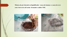 adubo_NPK_com_café.png