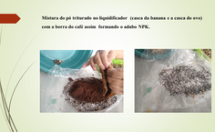 adubo_NPK_com_café.png