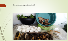 Materiais usados pelo grupo 3