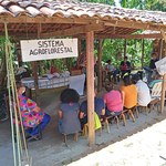 Ação de extensão une estudantes e professores da Ufal, do Ifal e da Uneal