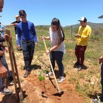 Estudantes do Campus do Sertão plantam espécies nativas da Caatinga