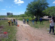 Plantio em área da Chesf em terreno compactado