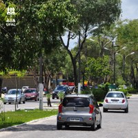 Estudantes de Engenharia Civil fazem pesquisa sobre mobilidade no campus