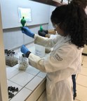 Andreza em atividade de pesquisa na USP
