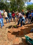 Plantio mudas em Arapiraca - Calourada