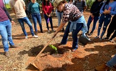 Plantio mudas em Arapiraca - Calourada