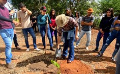 Plantio mudas em Arapiraca - Calourada