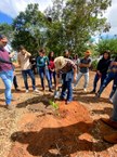 Plantio mudas em Arapiraca - Calourada
