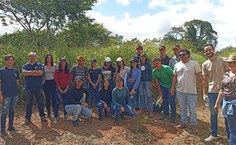 Plantio mudas em Arapiraca - Calourada