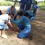 Plantio de mudas do semiárido encerra calourada em Arapiraca