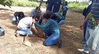 Plantio de mudas do semiárido encerra calourada em Arapiraca