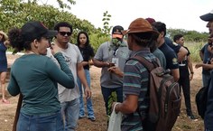 Plantio mudas em Arapiraca - Calourada