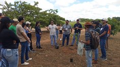 Plantio mudas em Arapiraca - Calourada