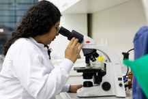 Projeto da Ufal cria Laboratório Inclusivo de Parasitologia para estudantes cegos