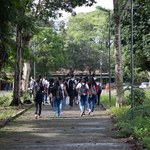 Ufal abre as portas para mais de 1.500 estudantes do ensino médio