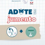 Projeto lança campanha de adoção de jumentos que seriam abatidos